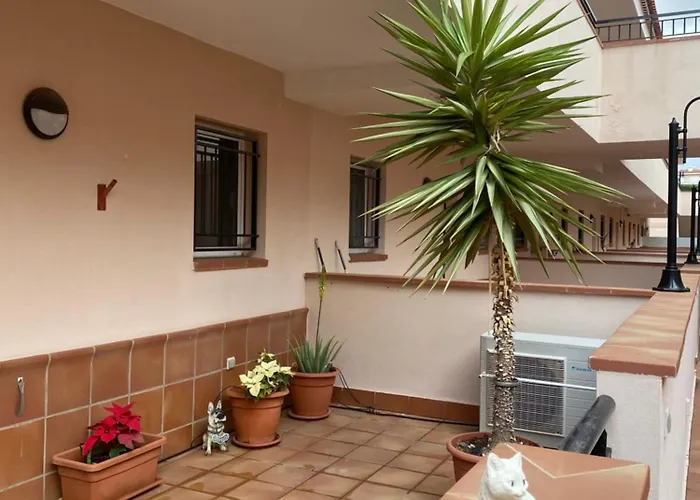 Terrace Sea View Apartamento