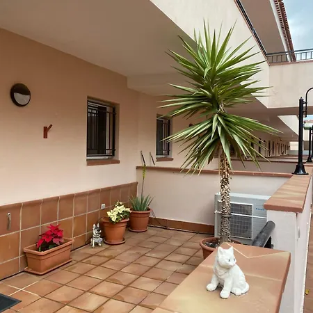 Terrace Sea View Appartement